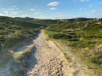Weg durch Dünenlandschaft Rantum