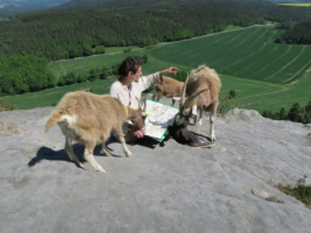 Ziegenwanderung