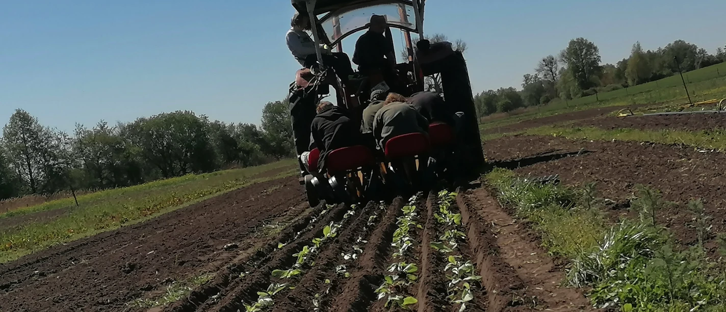 Projekttag auf dem Acker