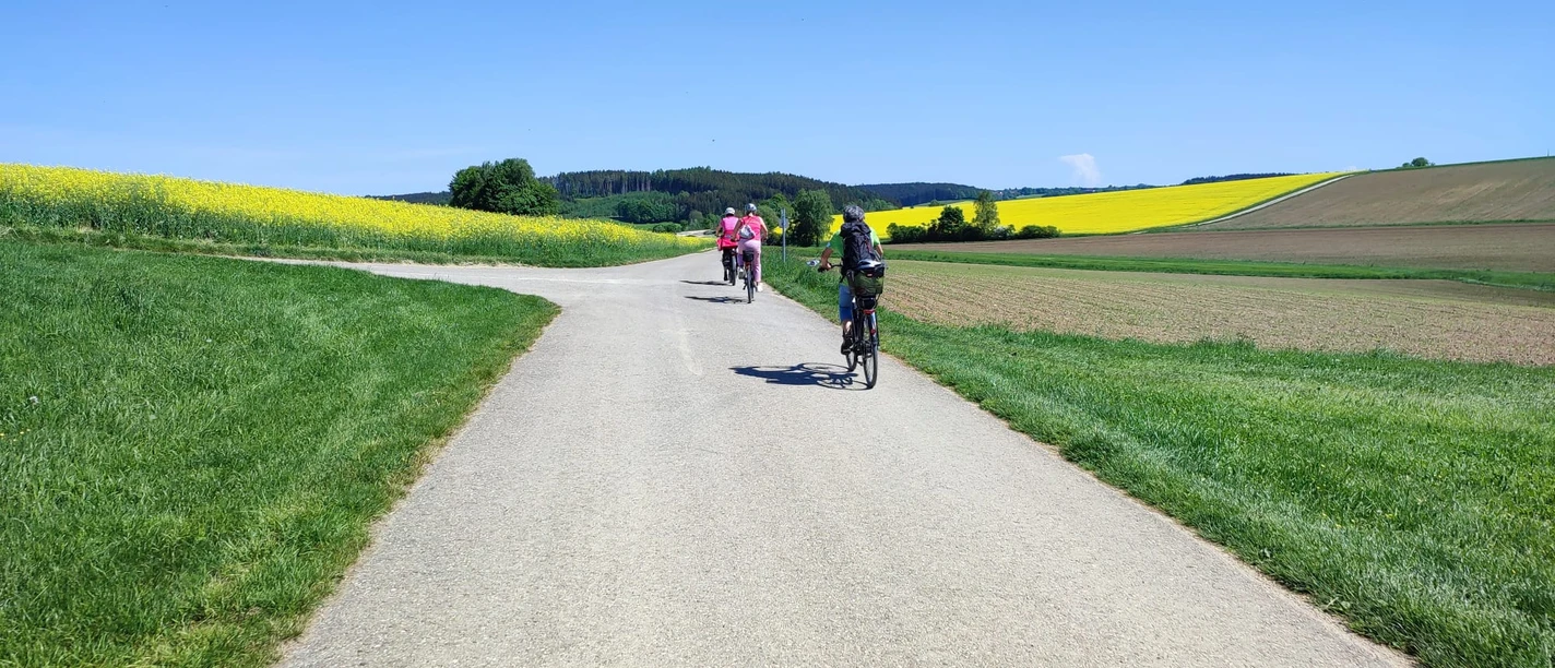 Radeln und Kultur Radfahrende auf einem Weg durch weitläufige Felder unter blauem Himmel.