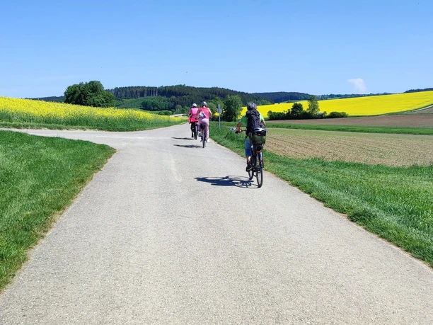 Radeln und Kultur Radfahrende auf einem Weg durch weitläufige Felder unter blauem Himmel.
