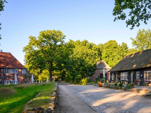 heidedorf-wilsede.jpg Historische Fachwerkhäuser mit Reetdächern säumen einen gepflasterten Weg im grünen Heidedorf.