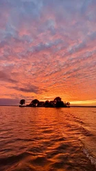 Sunset-Wilhelmstein-Sonnenuntergang.jpg Die Insel Wilhelmstein im Steinhuder Meer vor rötlichem Abendhimmel bei Sonnenuntergang.