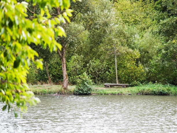 Ruhe genießen am Seeufer Sie sehen eine Bank an einem baumbestandenen Ufer, direkt am ruhigen Wasser des Silbersees.