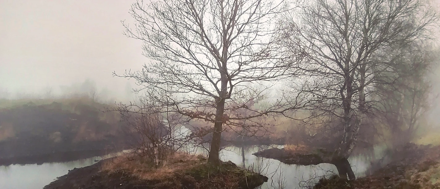 Nebel im Moor_bearbeitet © H. H. Bechtluft .jpg