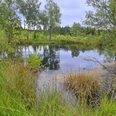 Federbruchmoor bei Holzhausen im Reinhardswald