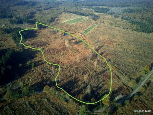 Federbruchmoor von oben