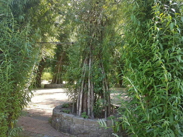 20200626_160741 Weidenschluss (c) Tanja Albert_WEB.jpg Das Innere des Weidenschlosses im Gesundheitspark Speckenbüttel