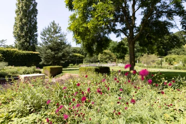 Botanischer Garten Blühende Staudenbeete und gepflegte Hecken im Botanischen Garten Gütersloh