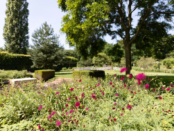 Botanischer Garten Blühende Staudenbeete und gepflegte Hecken im Botanischen Garten Gütersloh