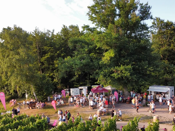 dji_fly_20250704_201126_178_1751652694822_photo_optimized