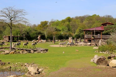 Kiwara Lodge - Gastronomie im Zoo Leipzig Blick auf die Kiwara-Savanne mit afrikanischen Tieren im Zoo Leipzig und dem Restaurant Kiwara Lodge.