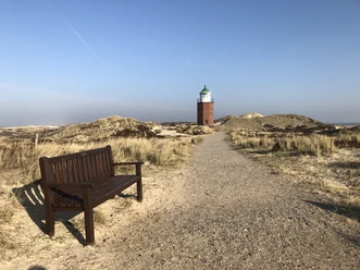© Sylt Marketing I Lynn Scotti_Weg und Bank am Kampener Quermarkenfeuer.JPG