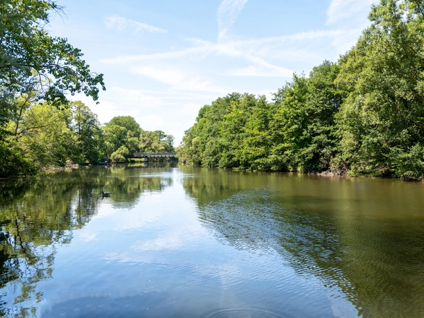 Petri Heil an der Eder Sie sehen eine ruhige, von grünen Bäumen gesäumte Eder bei Kaiserwetter.