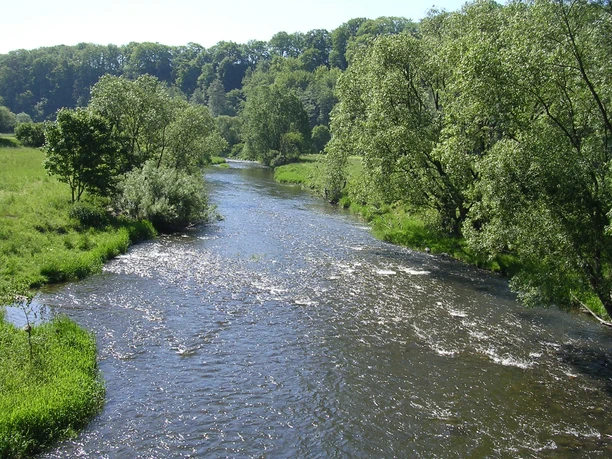 Petri Heil an der Eder Sie sehen eine naturbelassene Eder bei Sonnenschein, die von dichtem Grün gesäumt ist.