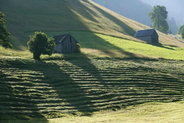 Wanderung - Ammergauer Wiesmahdweg