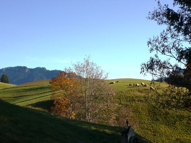 Wanderung Ammergauer Wiesmahdweg
