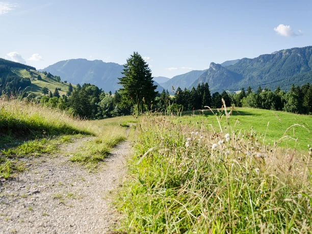 Auf dem Wiesmahdweg Richtung Oberammergau