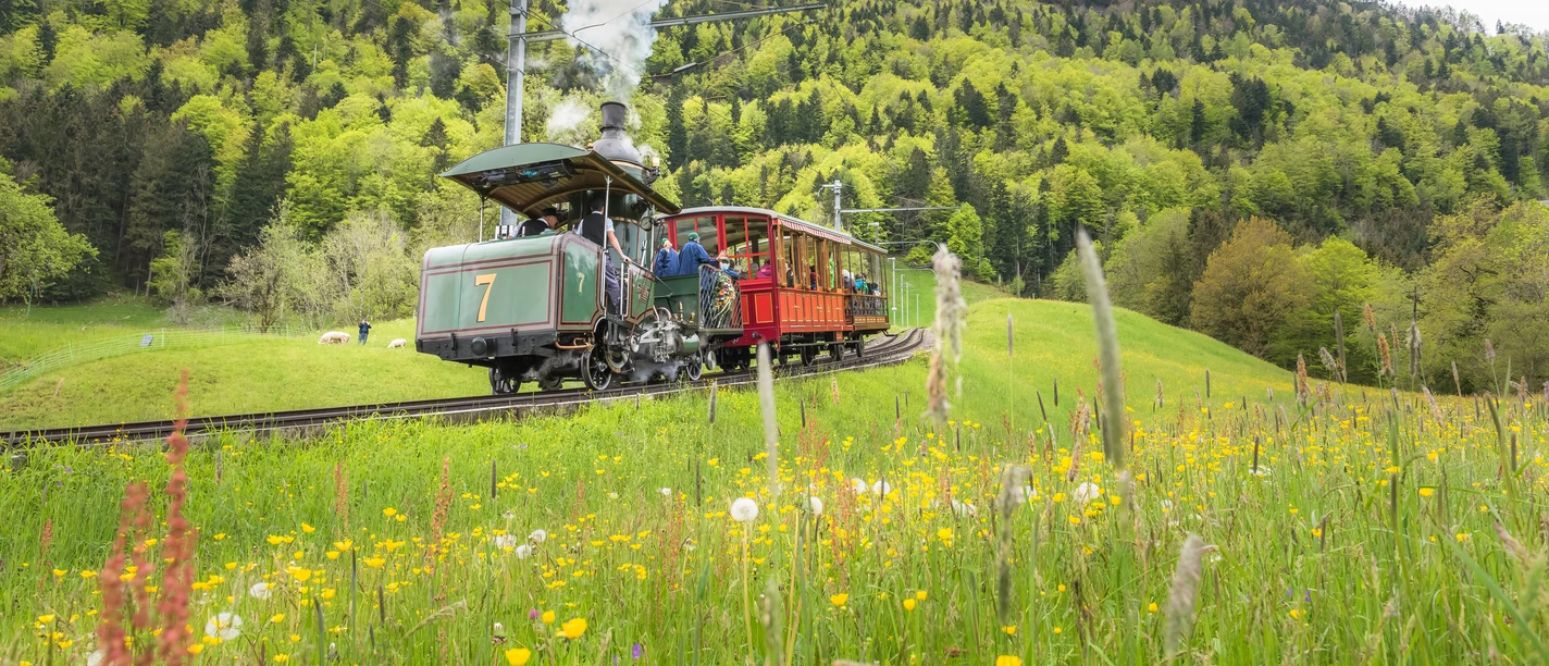 ©RIGI BAHNEN AG_Fotograf Sascha Krähenbühl (147).jpg