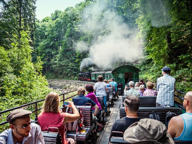 Gäste im offenen Waggon der Weißeritztalbahn