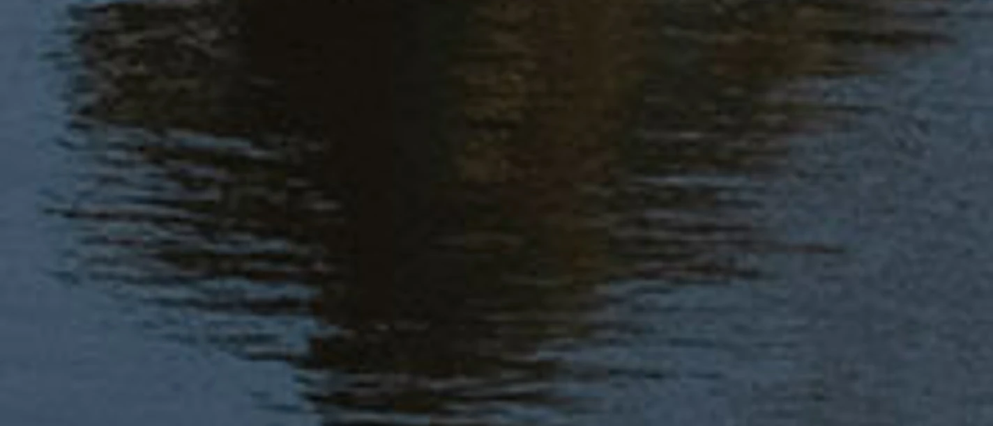 Dunkle Wasseroberfläche mit verschwommener Spiegelung und den Schriftzügen yebba