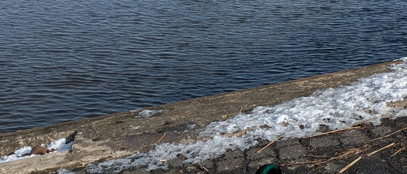 Fluss vom Eise befreit