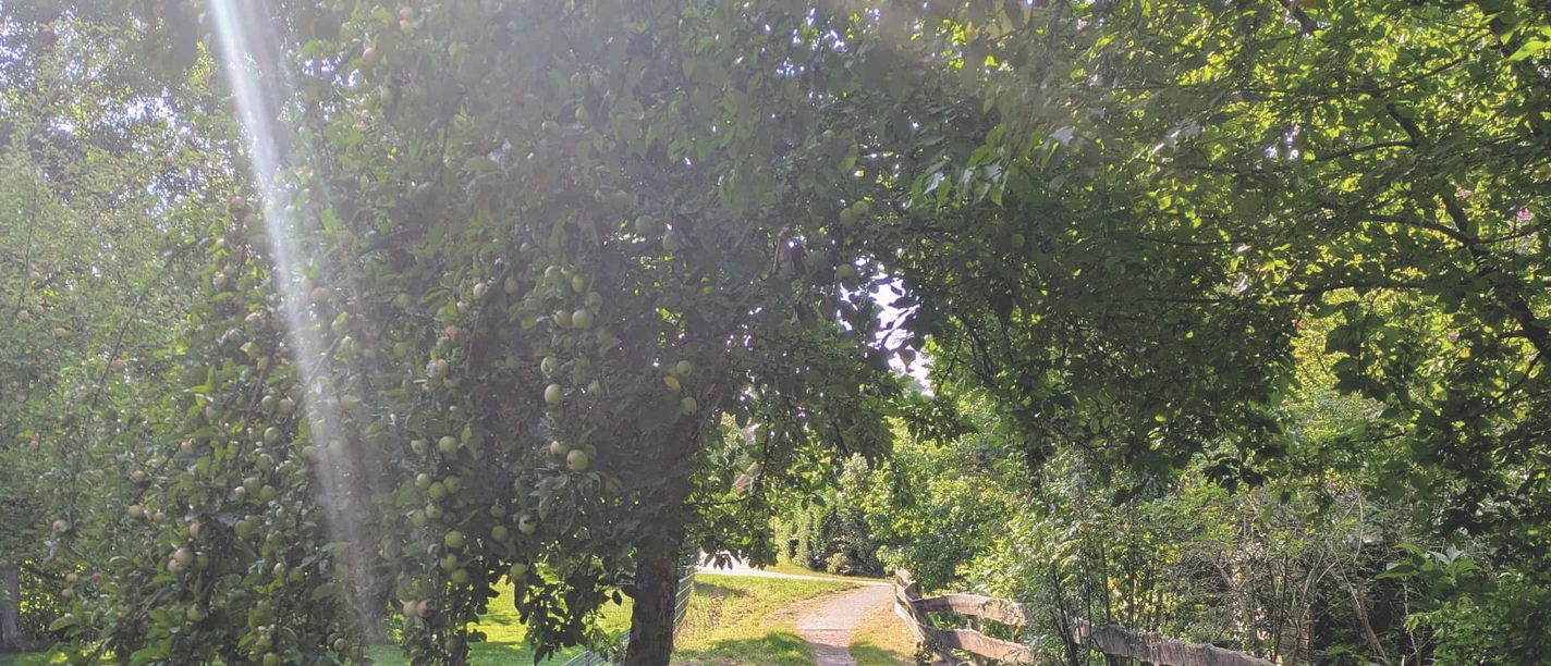 Pilgerwege in Winsen.jpg