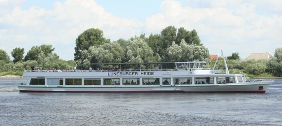 Lüneburger Heide auf der Elbe