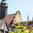 Vergessene Denkmäler Historische Giebel und Turm über roten Ziegeldächern, Blumen im Vordergrund