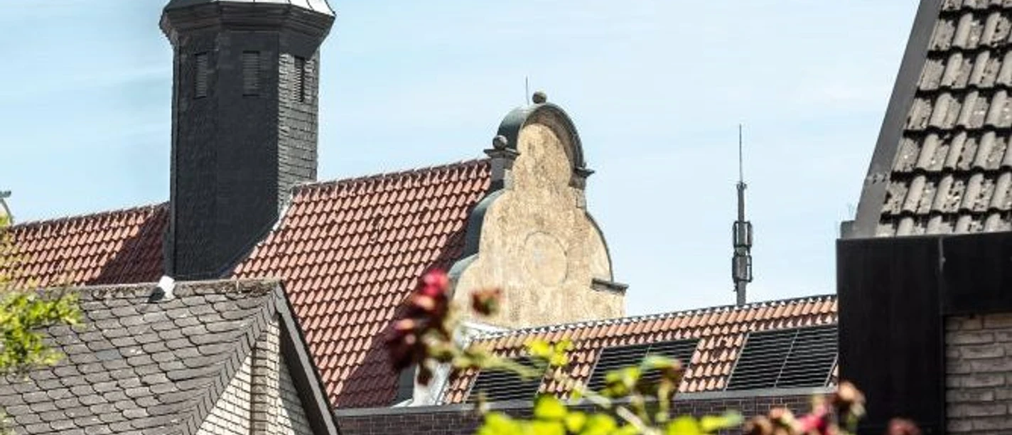 Vergessene Denkmäler Historische Giebel und Turm über roten Ziegeldächern, Blumen im Vordergrund