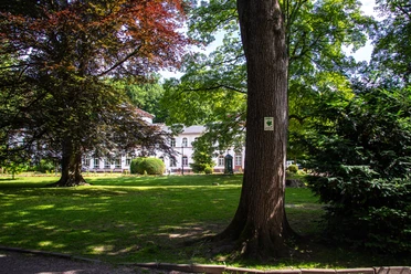 AlterKurpark-020.jpg