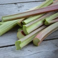 mrskallend-rhubarb-5377398_1920.jpg