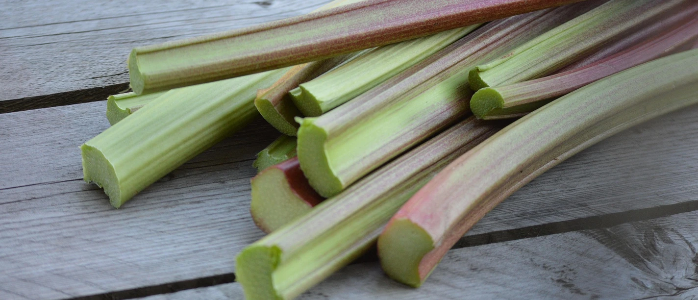 mrskallend-rhubarb-5377398_1920.jpg