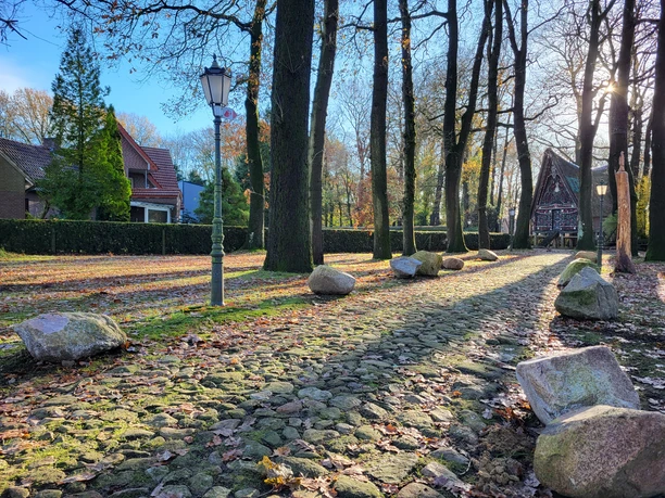 Leitgeschiebe Geologischer Garten, Werpeloh ©Naturpark Hümmling.jpg