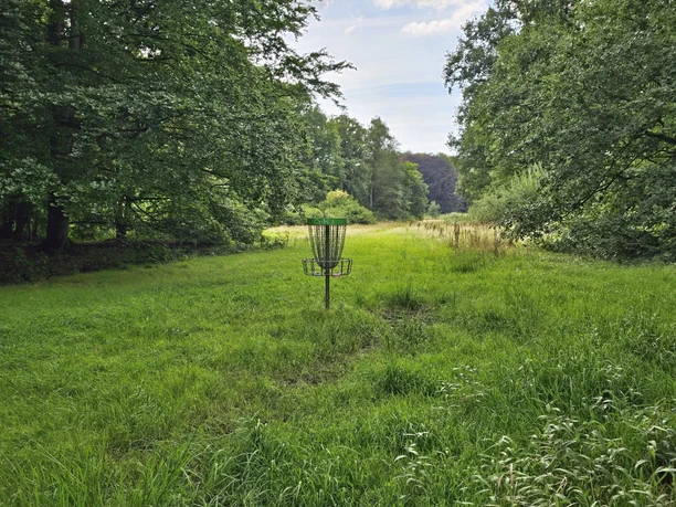 20240810_154645 (c) Tanja Mehl_Erlebnis Bremerhaven_WEB.jpg Korb auf einer Bahn der Disc Golf Anlage im Bürgerpark Bremerhaven