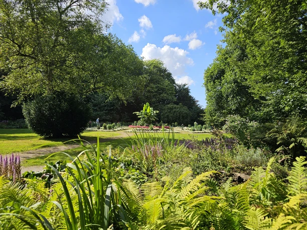 20240810_161134 (c) Tanja Mehl_Erlebnis Bremerhaven_WEB.jpg Blumenbeete und Bäume im Bürgerpark Bremerhaven