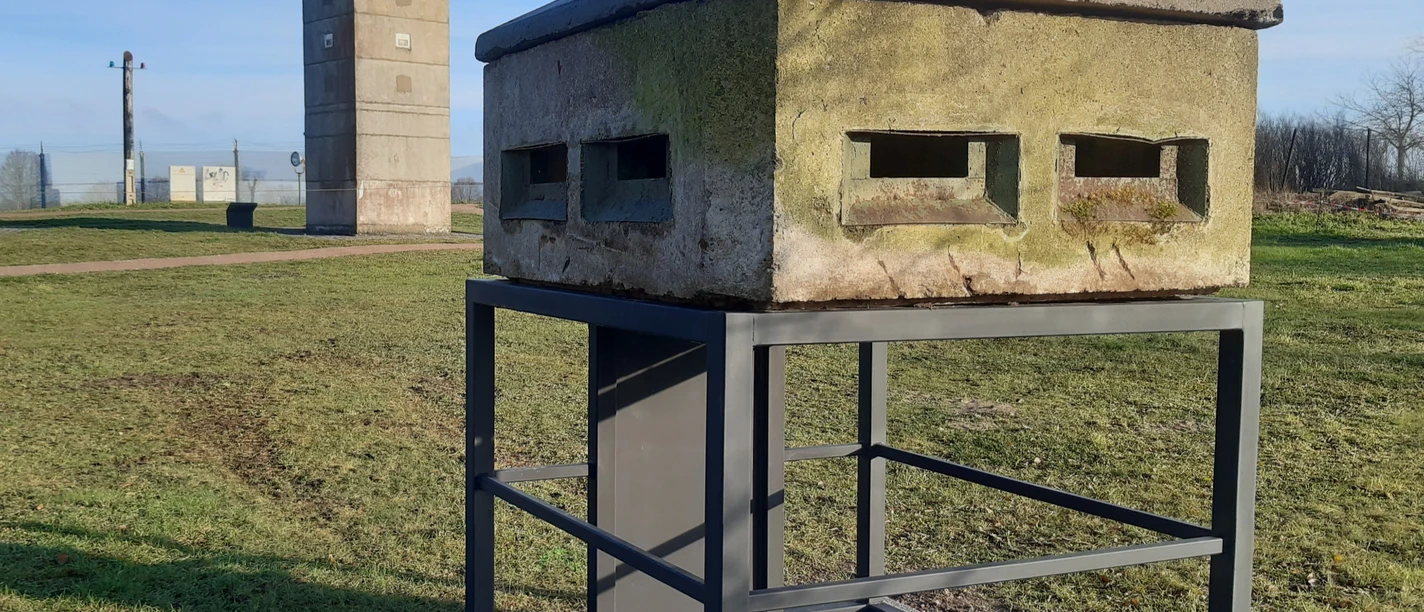 Aufnahme Luisa Taschner 7.jpg