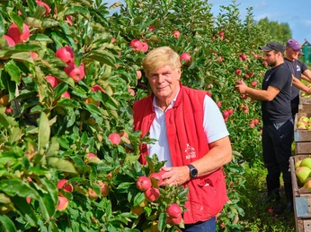 Herr Matthies am Baum