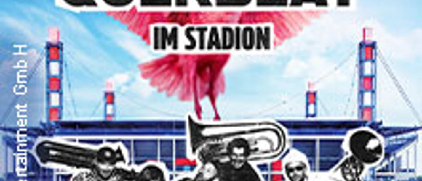 Plakat mit pinkem Flamingo über Stadion und schwarzweißer Bandgrafik für Querbeat‑Event