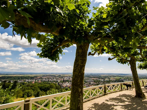 Blick von der Terrasse des Hotel Restaurant Johannisberg Vom Hotel Restaurant Johannisberg aus hat man eine tolle Fernsicht in die Region