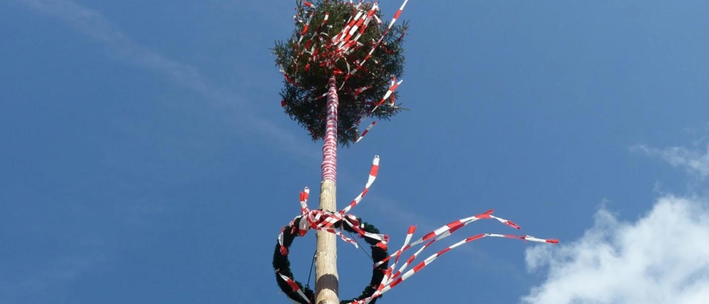 Maibaum alsen Pixabay.jpg