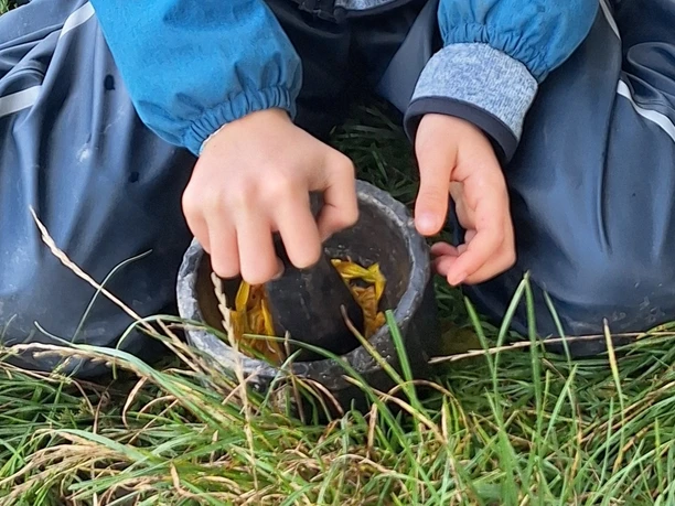 LWW KreativmitNaturmaterialen 2026