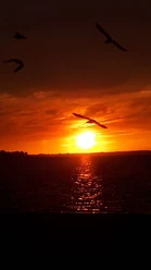 Sonnenuntergang 2025-3