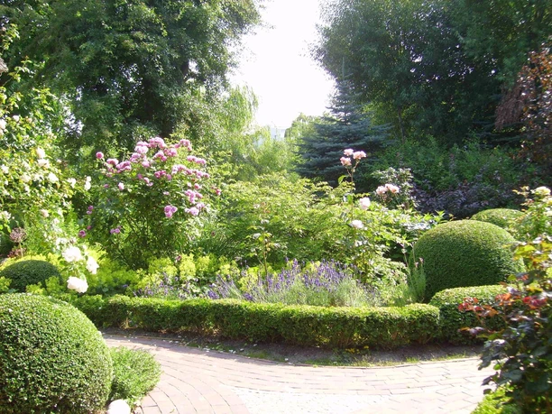 Ennulat vorgarten rosen 2_WEB.jpg Blühender Rosengarten im Gesundheitspark Speckenbüttel in Bremerhaven