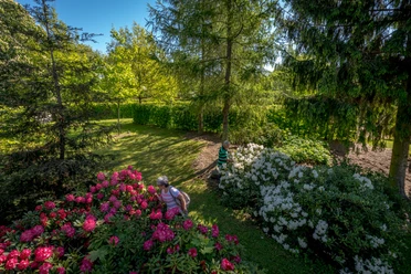20180508-0139.jpg