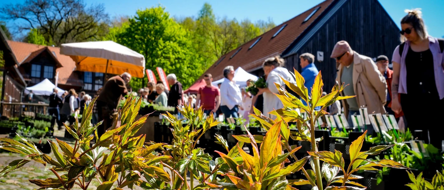 Kräutermarkt Gut Herbigshagen Kräutermarkt Gut Herbigshagen