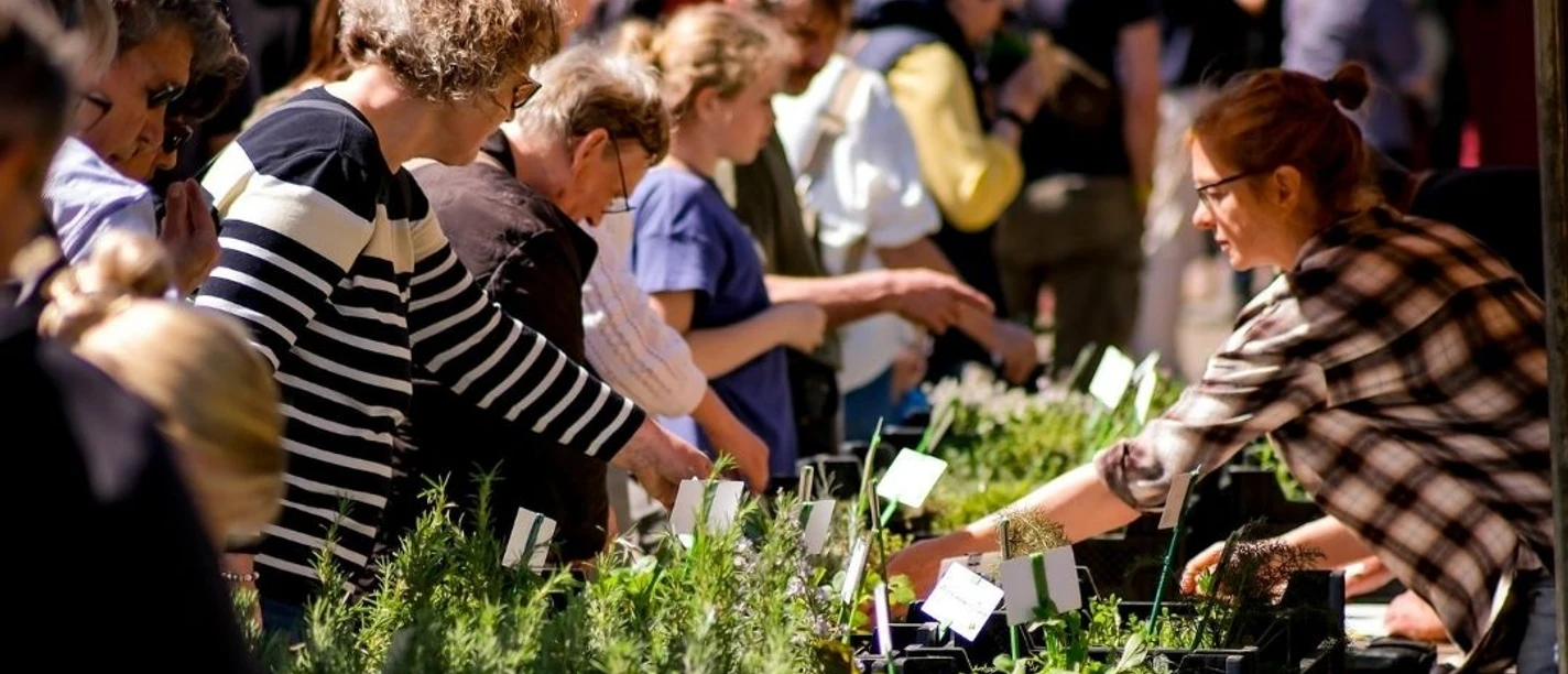 Kräutermarkt Gut Herbigshagen Kräutermarkt Gut Herbigshagen