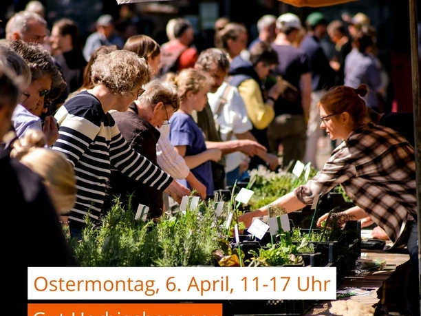 Kräutermarkt Gut Herbigshagen Kräutermarkt Gut Herbigshagen