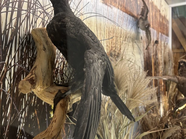 Naturerlebnishaus Zetel