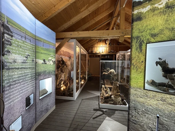 25-12-03 19-00-01 4491.jpg